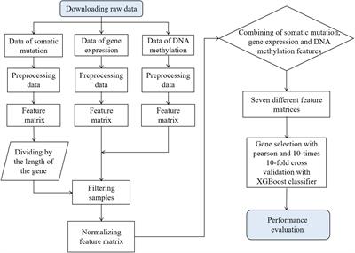 Evaluating DNA Methylation, Gene Expression, Somatic Mutation, and Their Combinations in Inferring Tumor Tissue-of-Origin